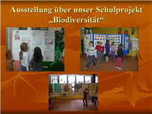 10_0911_Schoulprojet Biodiversitéit 05
